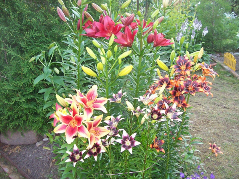 Кирилл Кощеев | Санкт-Петербург