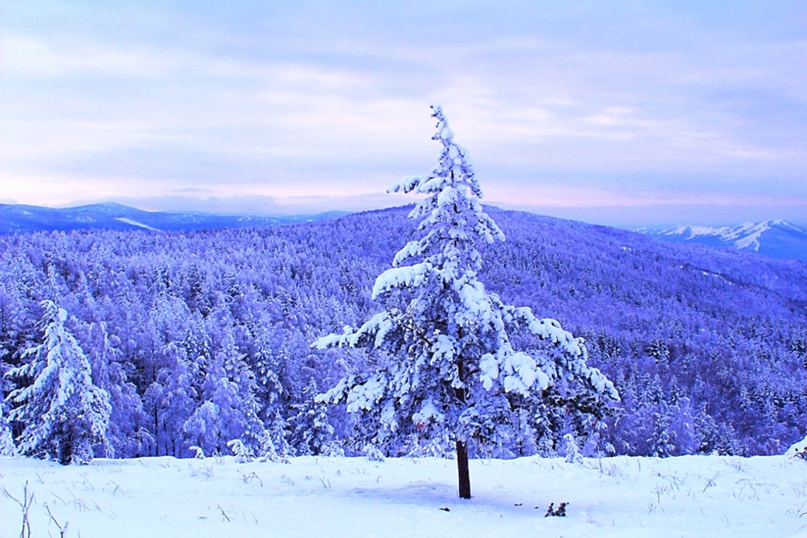 Александр Семенюта | Казань