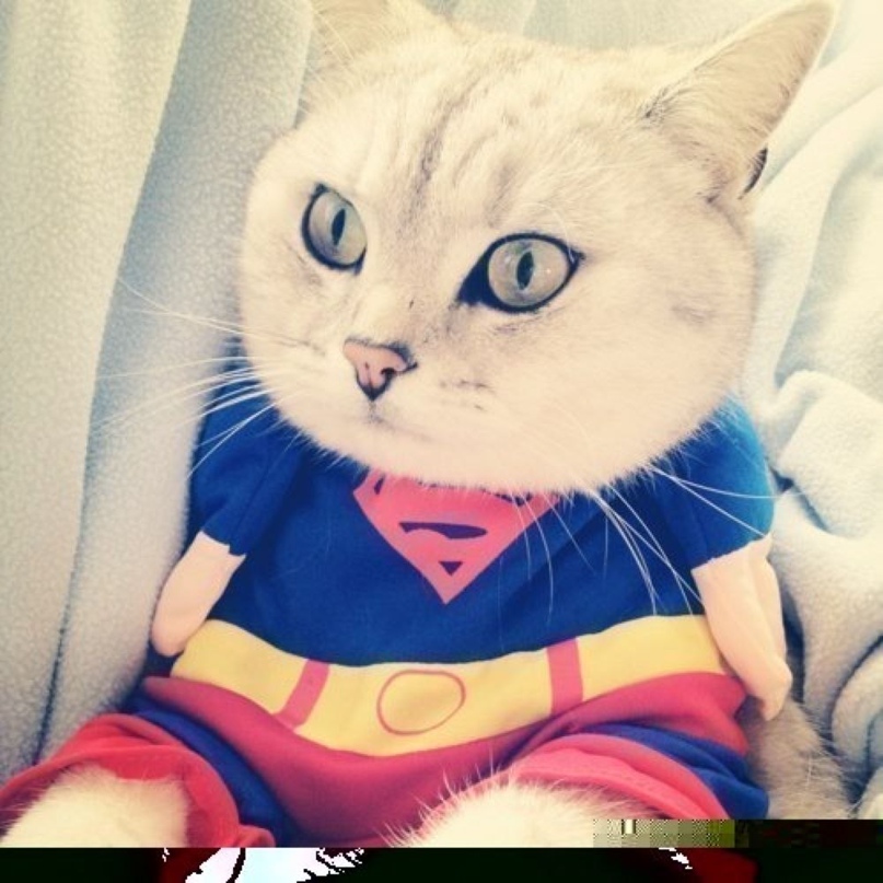 Таня Данилевская |