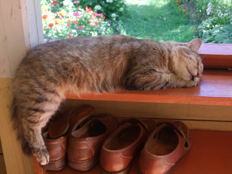 Екатерина Соломина | Нижний Новгород