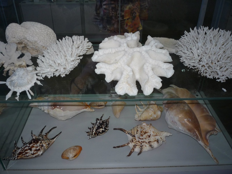 Лариса Хабибуллина | Волгоград