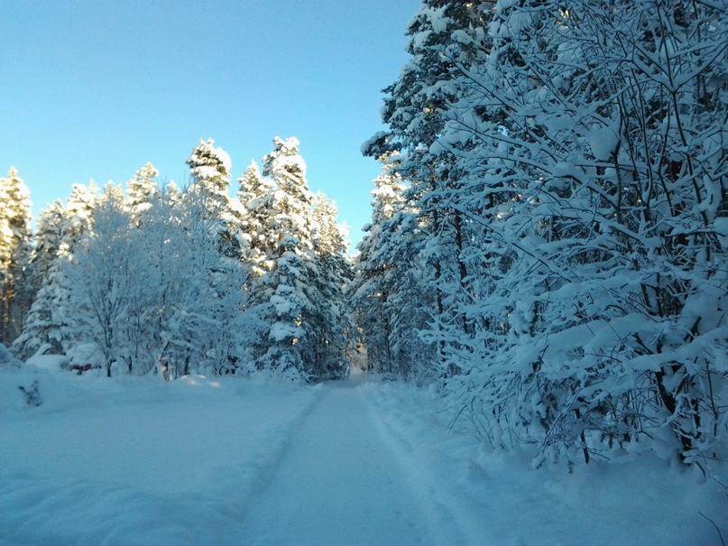 Татьяна Орловская | Санкт-Петербург