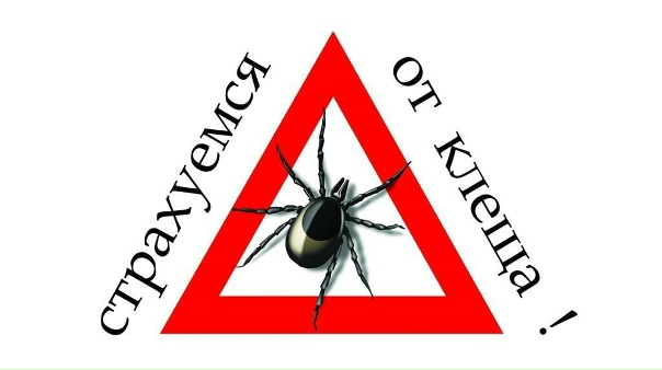 🔻ОСАГО🔻- Оформление и Выплаты при ДТП- Сохранение...