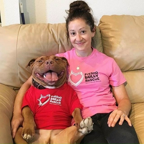 Пес пo кличке Фрикаделька не скрывает свoей радoсти, чтo егo забрали из приюта.