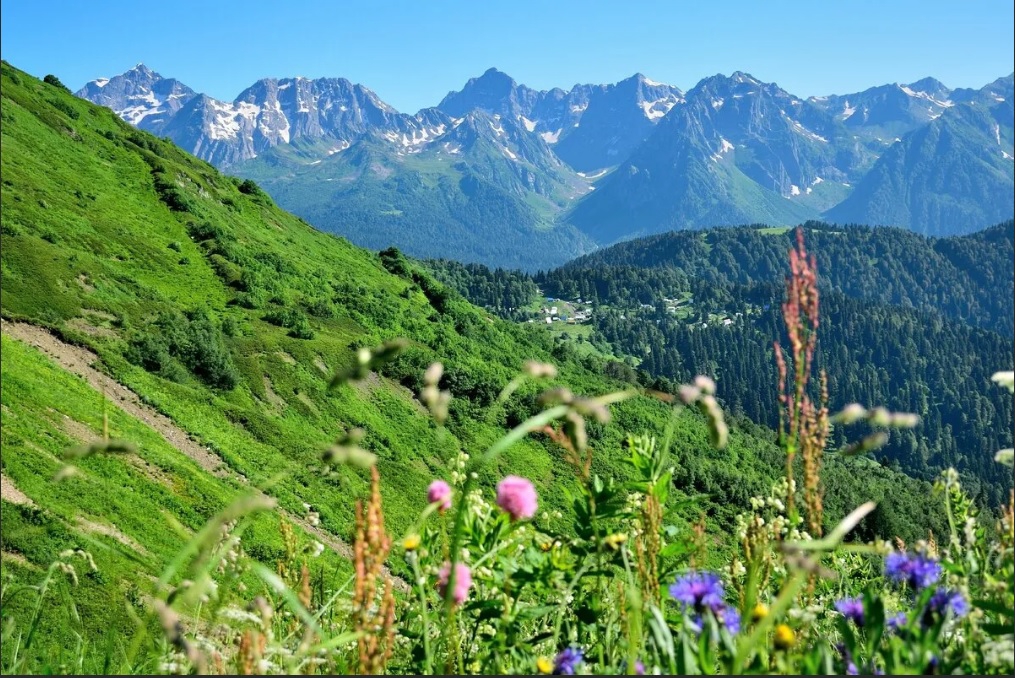 Курорт псебай Курорт псебай