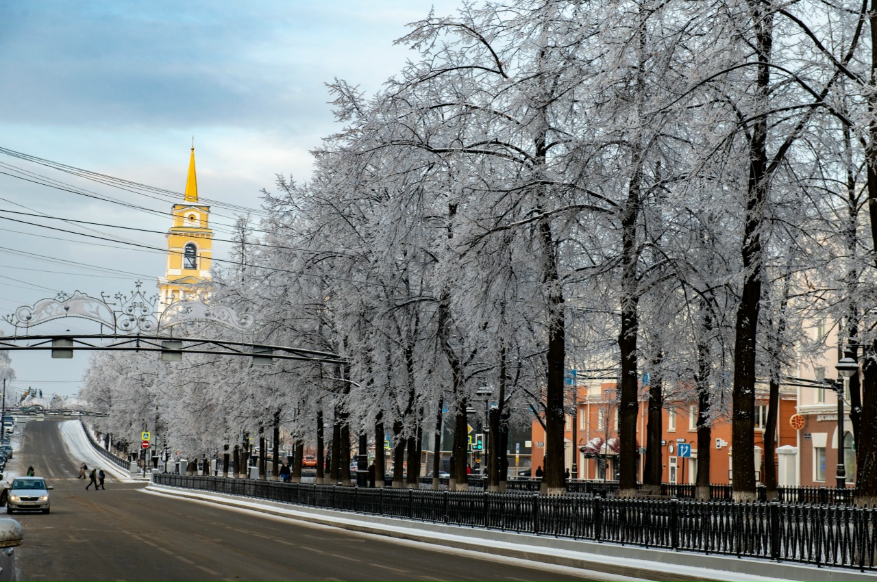 Пермь медведь зима