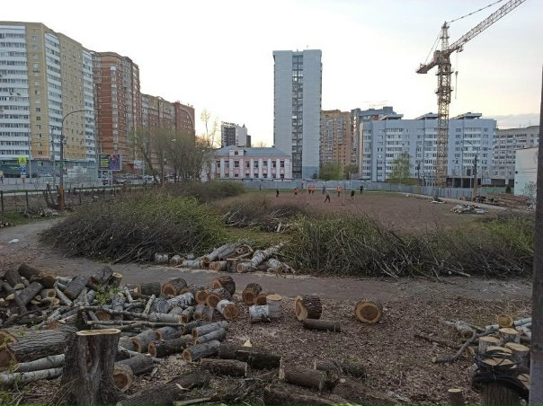 В Перми с ведома чиновников уничтожаются футбольное...