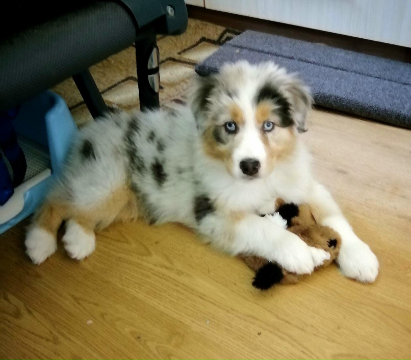 Елена Громова | Саров