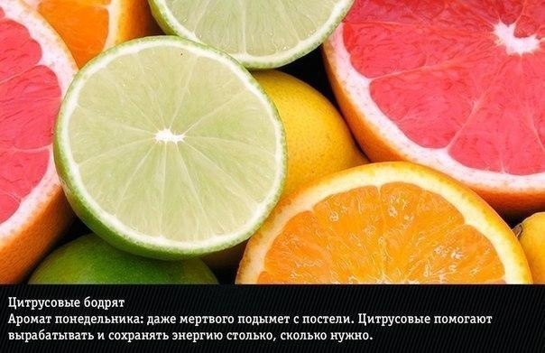 Эти природные ароматы могут влиять на ваши эмоции