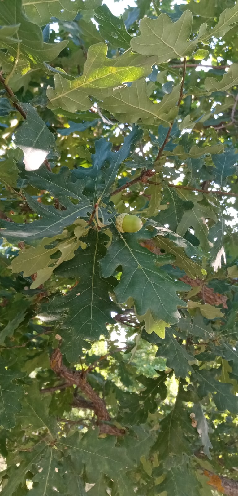 Ольга Патрушева | Нижний Тагил