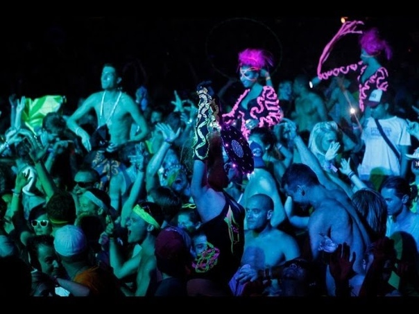 Best Festival Madness EDM Out Now