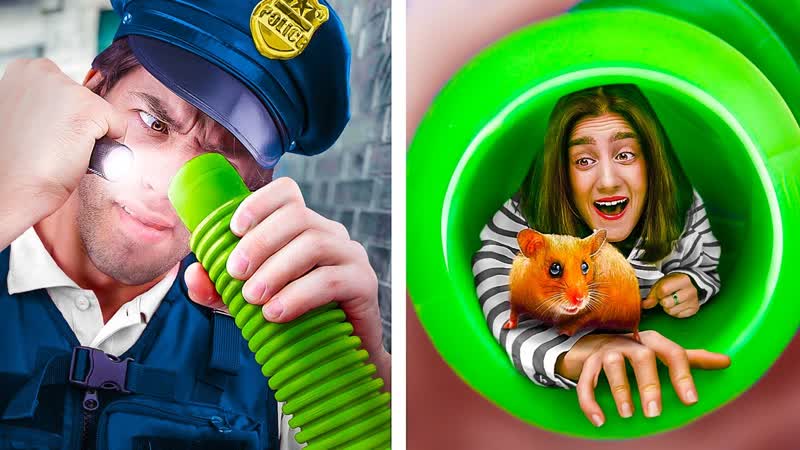 Хомяк в Pop Tube тюрьме 19 Pop Tube