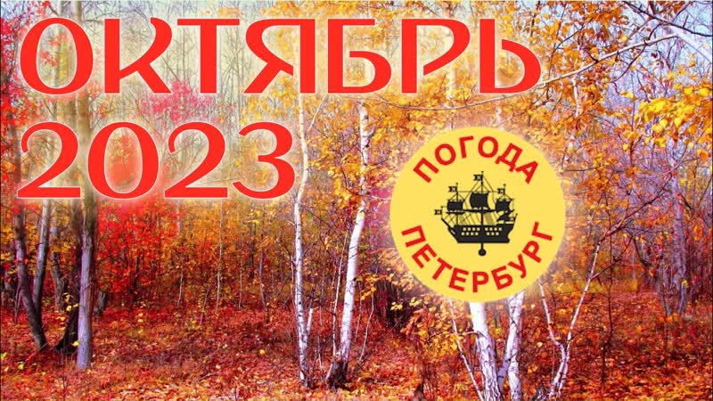 Погода Петербург. 08:00. +4 . Ветер. День