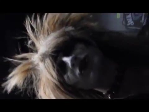 Salems Lott VLOG Backstage At The