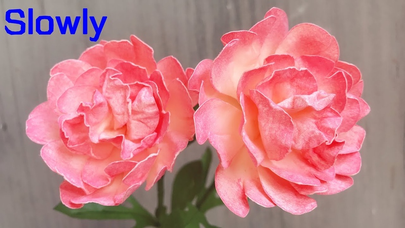 ABC TV, How To Make Easy Peony Paper Flower With Shape Punch ( Slowly) Craft