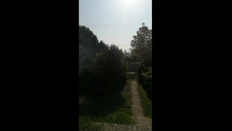VID_20201030_140903.mp4