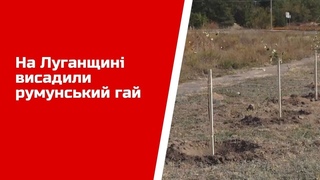На Луганщині висадили румунський гай
