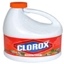 Clorox Orange Scent Product