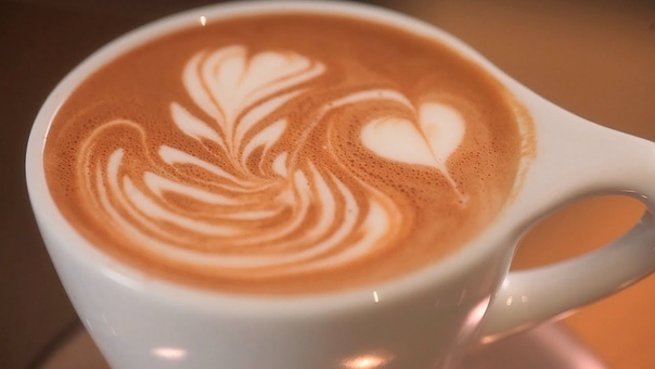 How to Pour a Swan, Latte