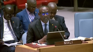 “GRAVE ACCUSATION“  DU MINISTRE DES AFFAIRES ETRANGERES  ABDOULAYE DIOP ENVERS LA FRANCE !